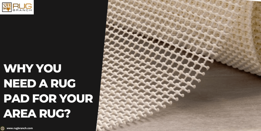 Why You Need a Rug Pad for Your Area Rug? - Rug Branch
