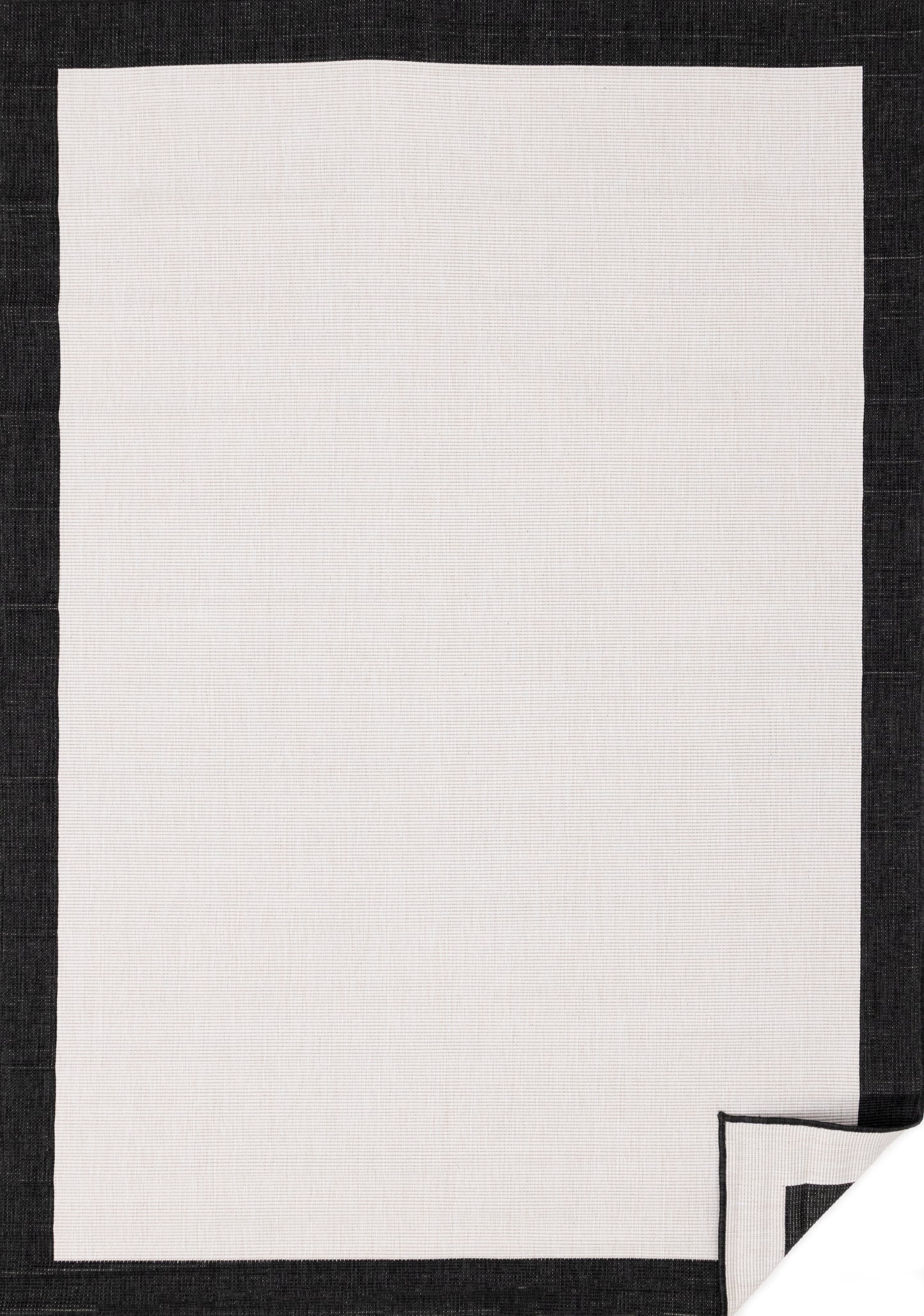 Contemporary Border Black Area Rug