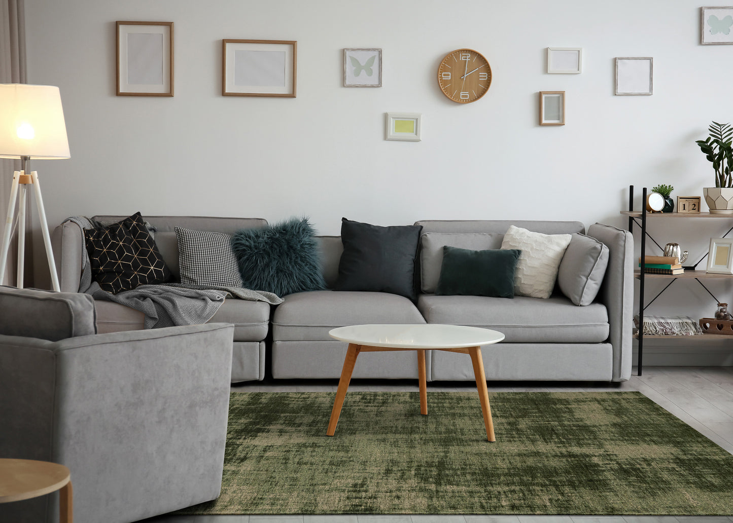 Modern Organic Green Area Rug