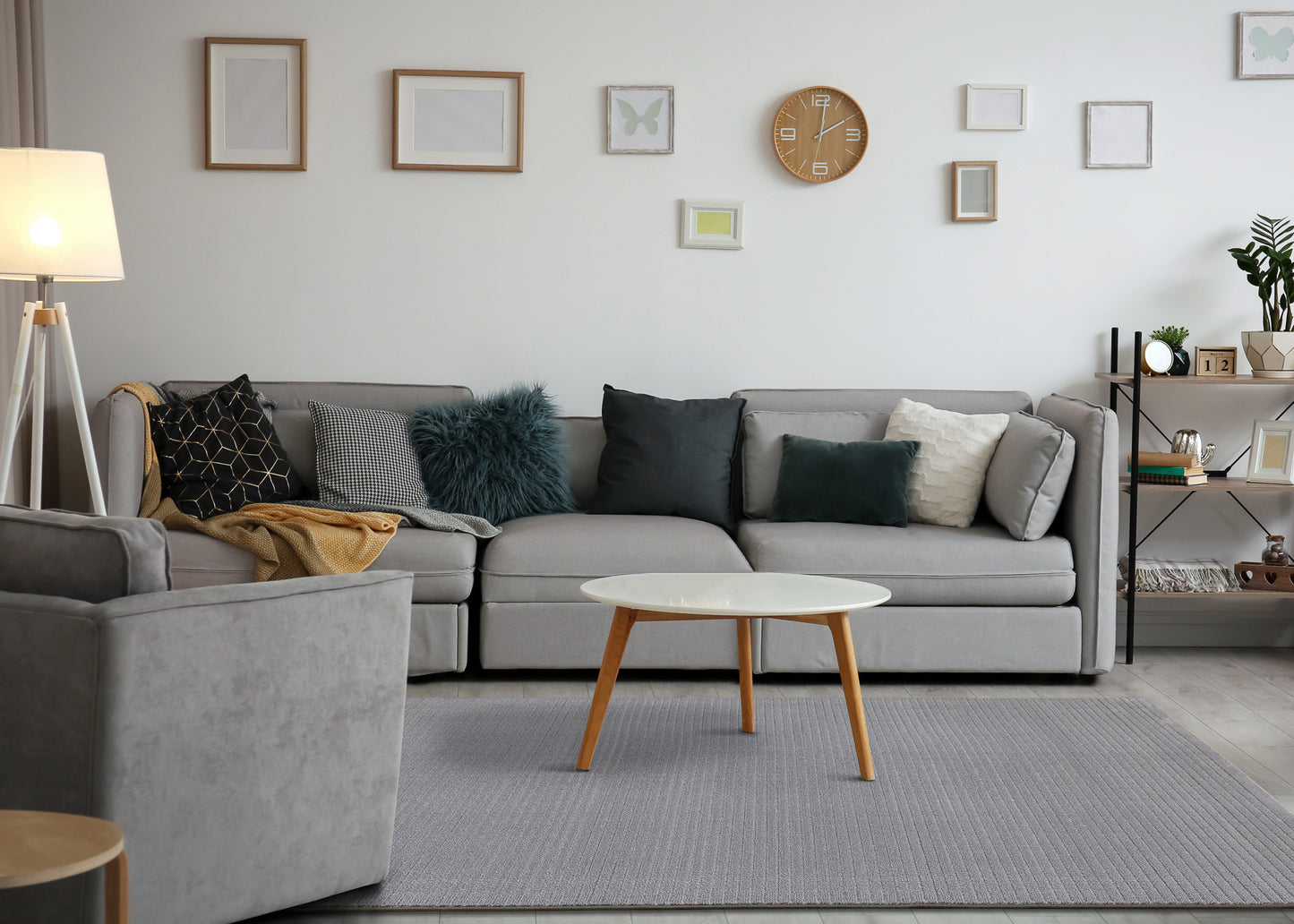Contemporary Tonal/Solid Rug  Indoor Area