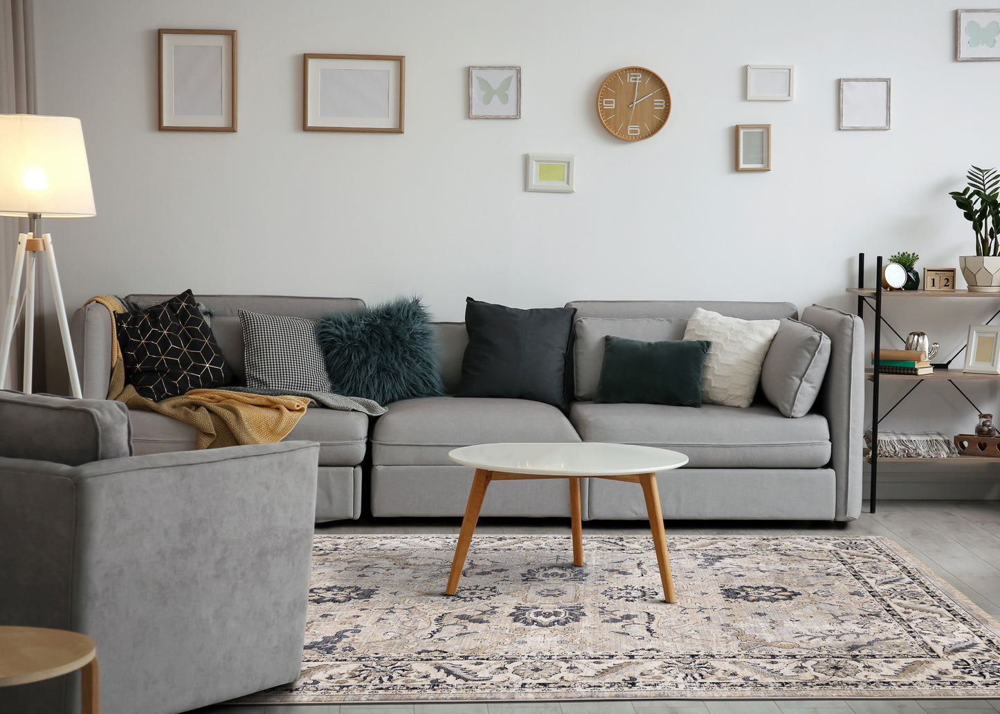 Contemporary Elegant Beige Area Rug