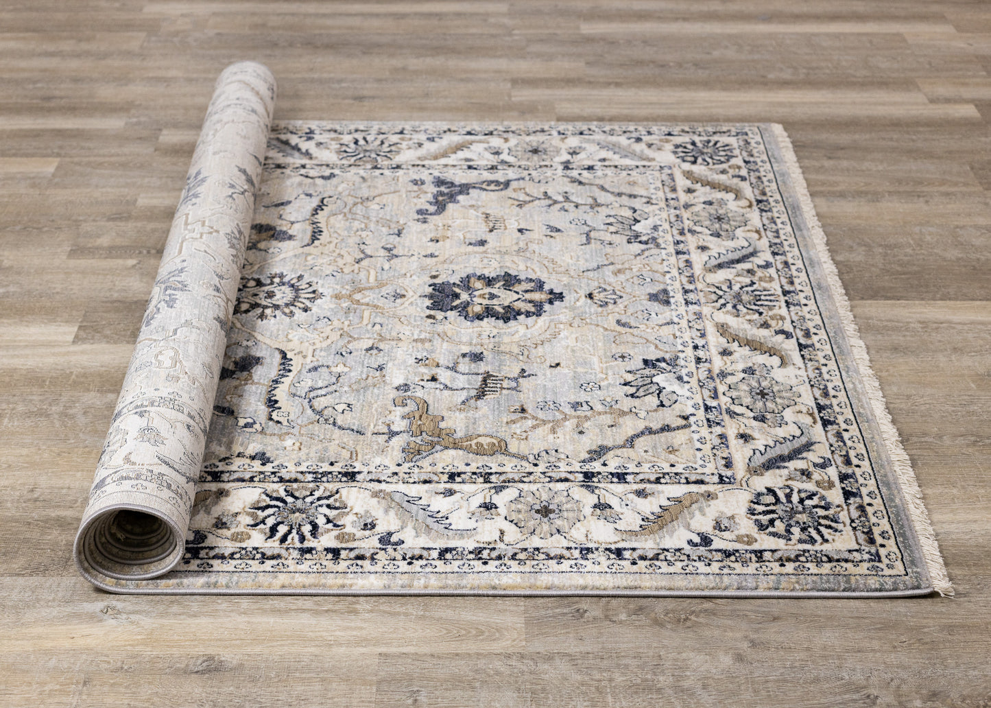 Contemporary Elegant Beige Area Rug