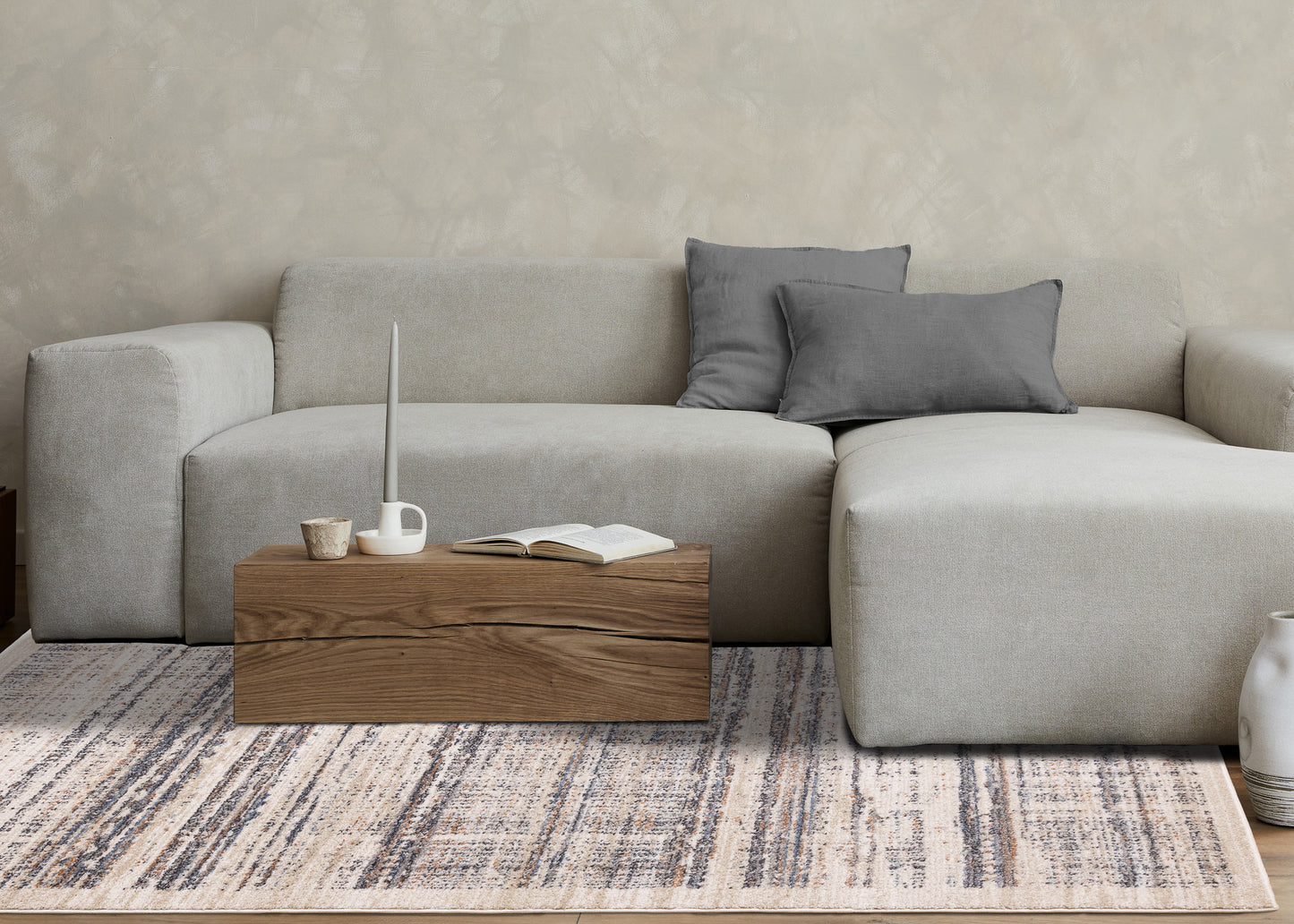 Contemporary Border Distressed Beige Area Rug