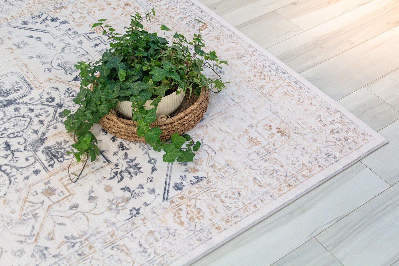 Aruba Traditional Distressed Cream Rug
