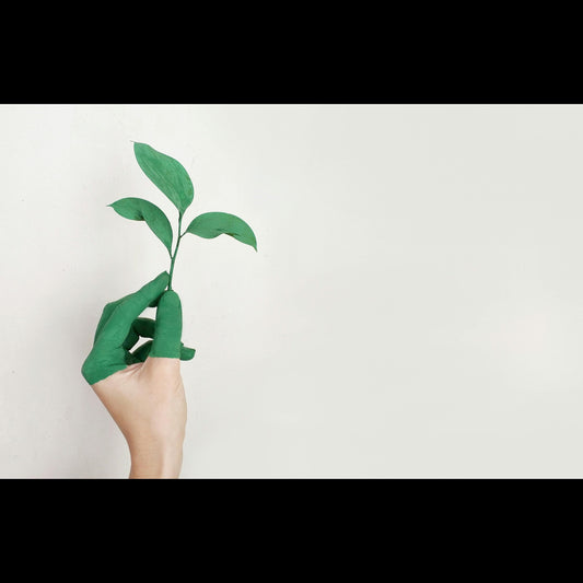 Eco-friendly
