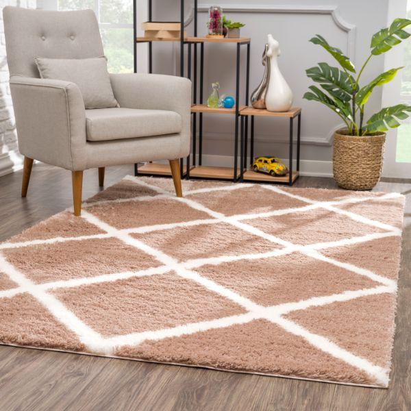 Where to Buy Area Rugs in Toledo, OH — 2026 Buyer's Guide | Rug Branch
