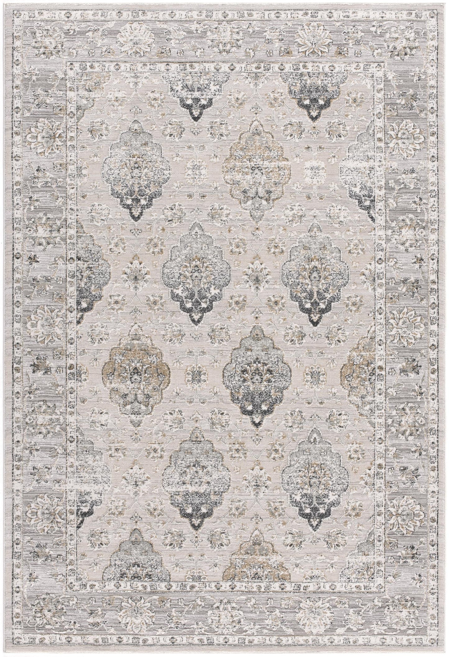 Silvia Transitional South-Western Grey Rug