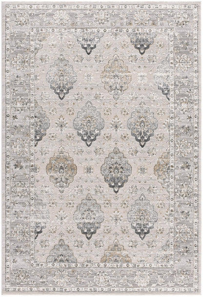 Silvia Transitional South-Western Grey Rug