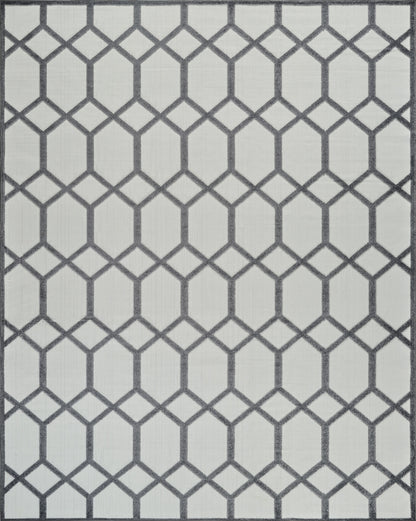 Kairo Trellis Contemporary Grey and Beige Indoor Rug