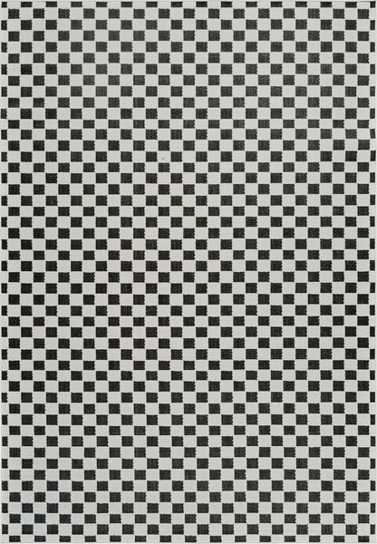 Misbah Checkered Contemporary Black and White Indoor Rug