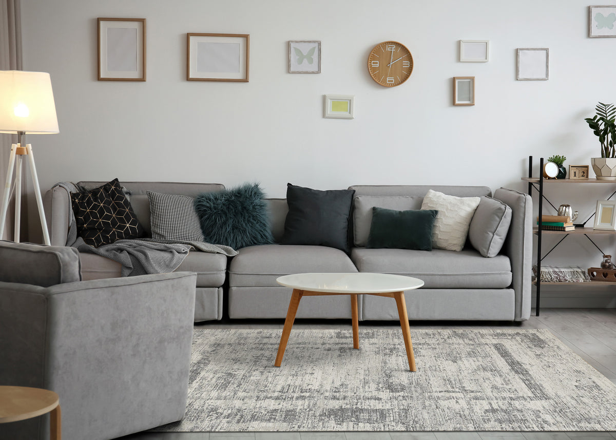 Modern Border Grey Area Rug