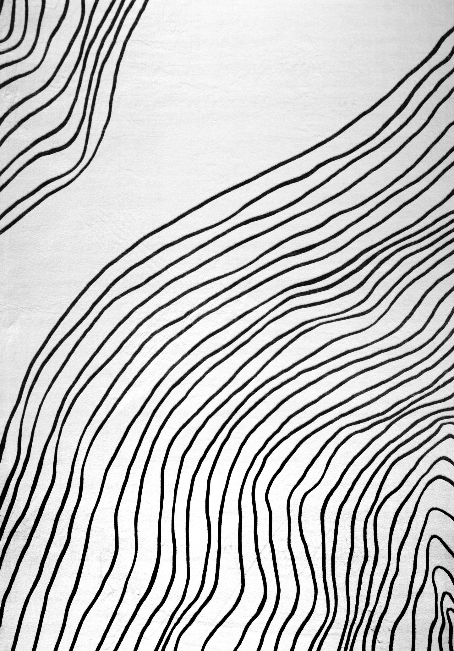 Nami Abstract Line Contemporary White and Black Indoor Rug-1