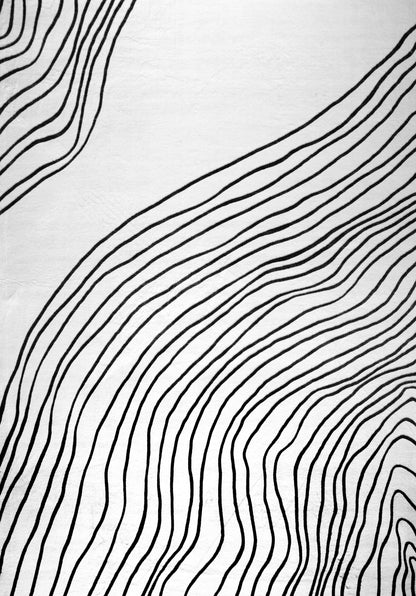 Nami Abstract Line Contemporary White and Black Indoor Rug-1