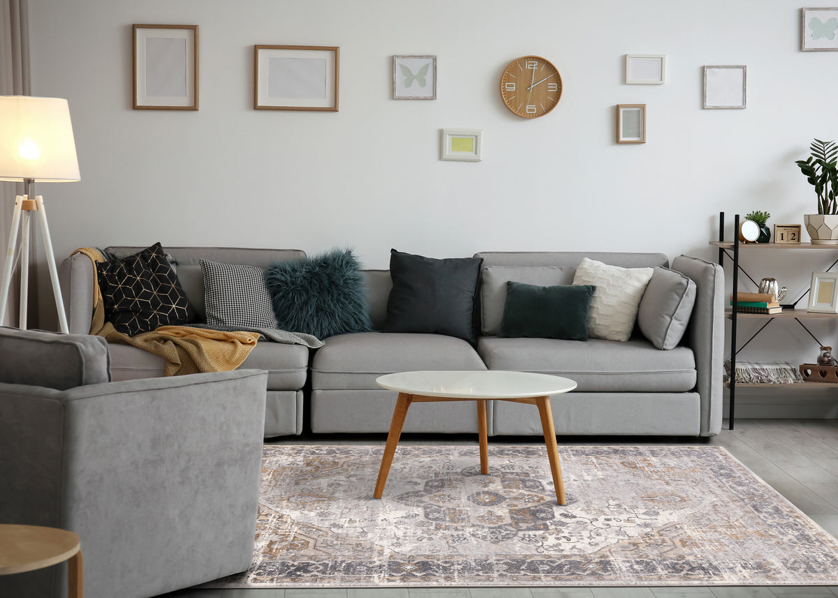 Traditional Border Grey Area Rug