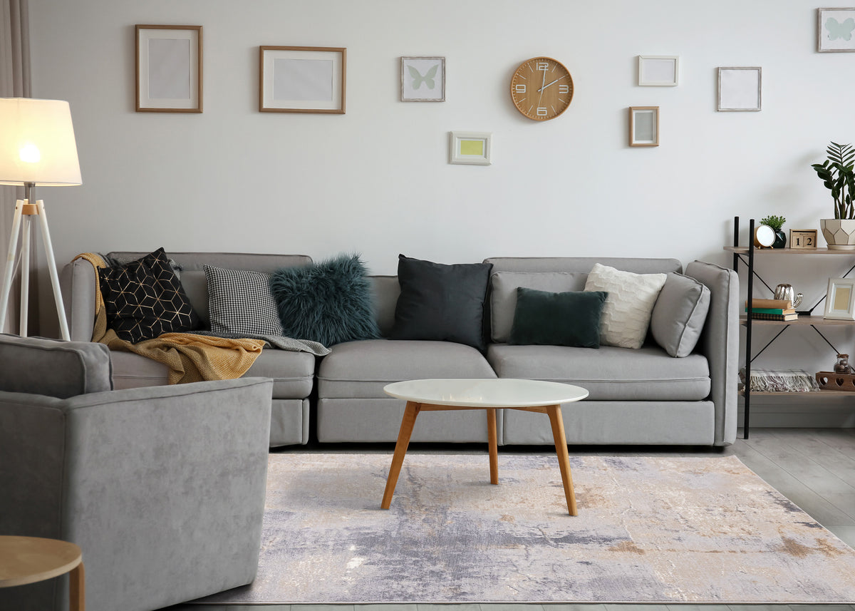 Contemporary Distressed Taupe Area Rug