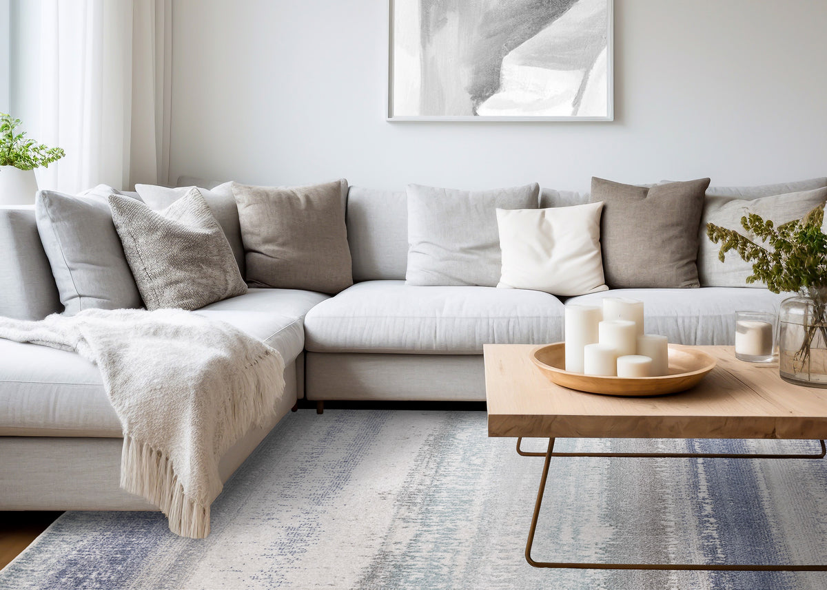 Contemporary Distressed Blue Area Rug