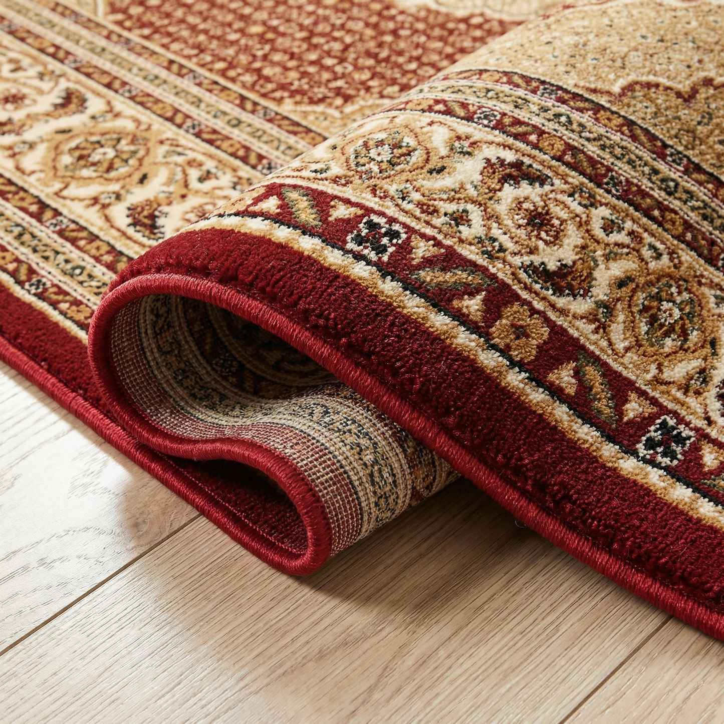 Faris Persian Medallion Traditional Red and Beige Indoor Rug-15