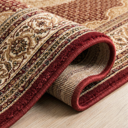 Faris Persian Medallion Traditional Red and Beige Indoor Rug-10