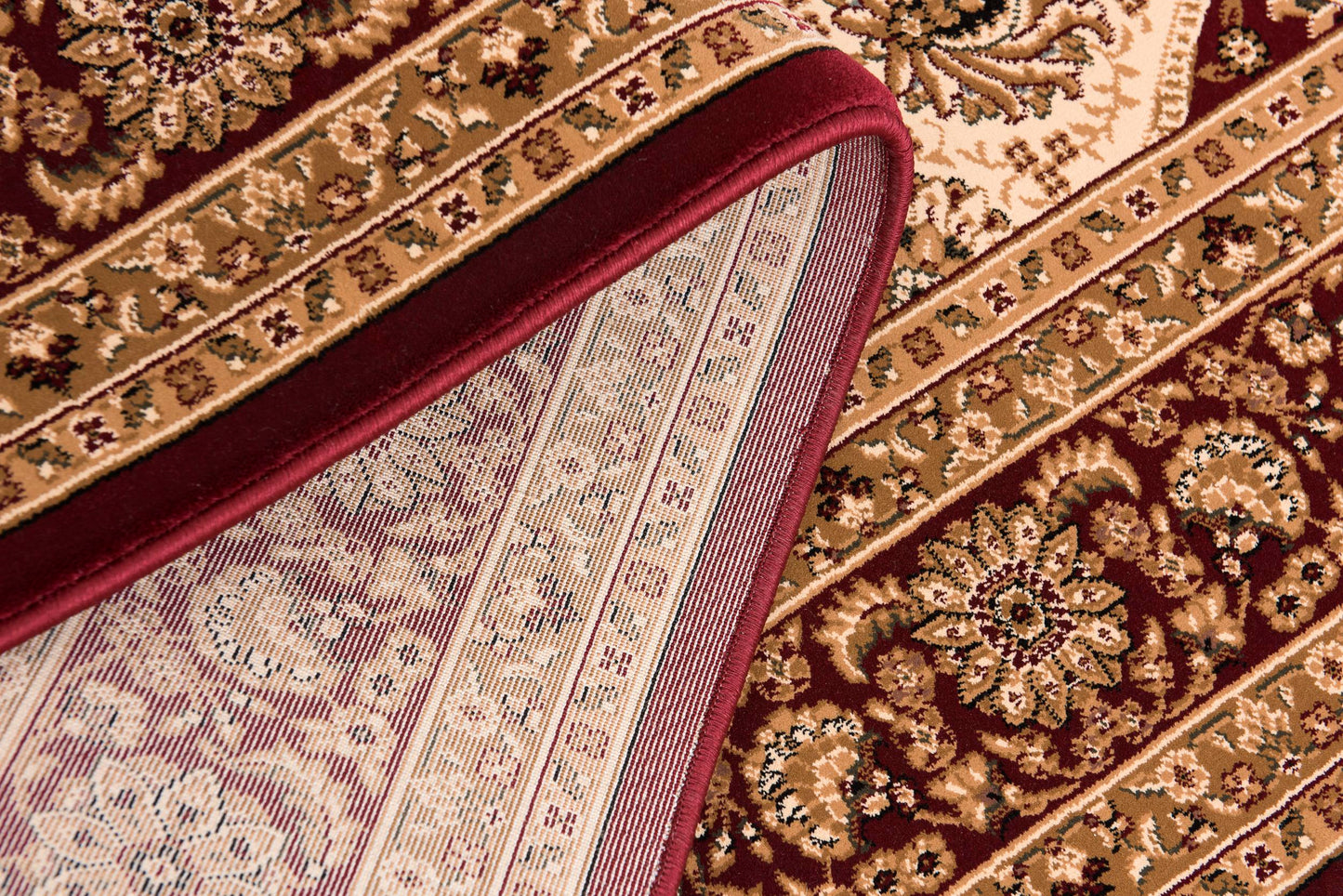 Aseel Persian Medallion Traditional Red and Black Indoor Rug-25