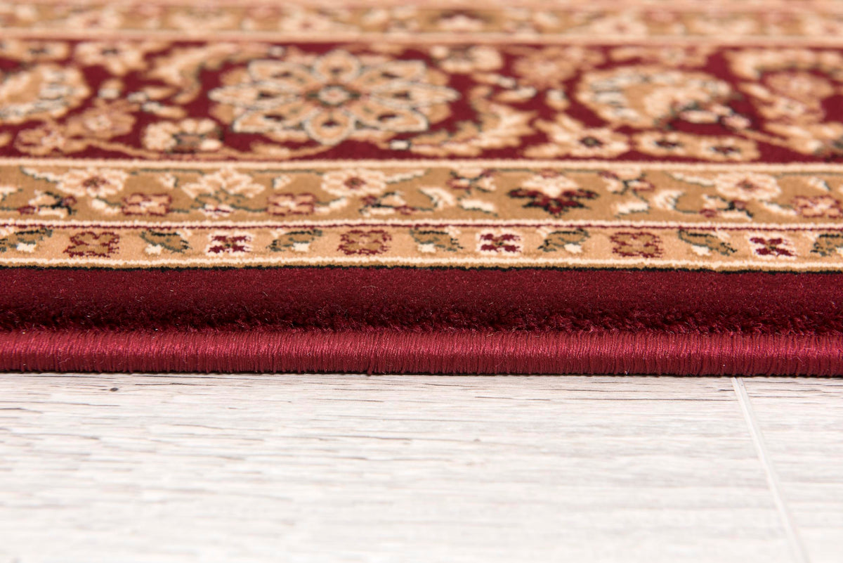 Aseel Persian Medallion Traditional Red and Black Indoor Rug