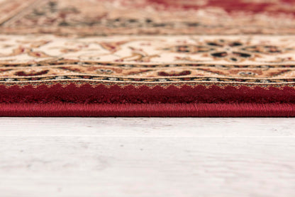 Rimal Persian Medallion Traditional Red and Beige Indoor Rug-18
