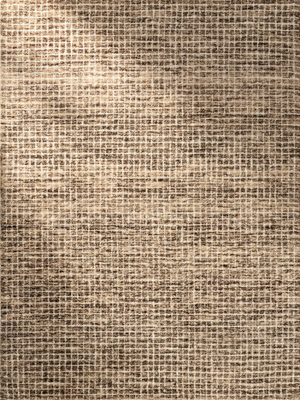 Mojavi Checkered Contemporary Brown and Grey Indoor Rug