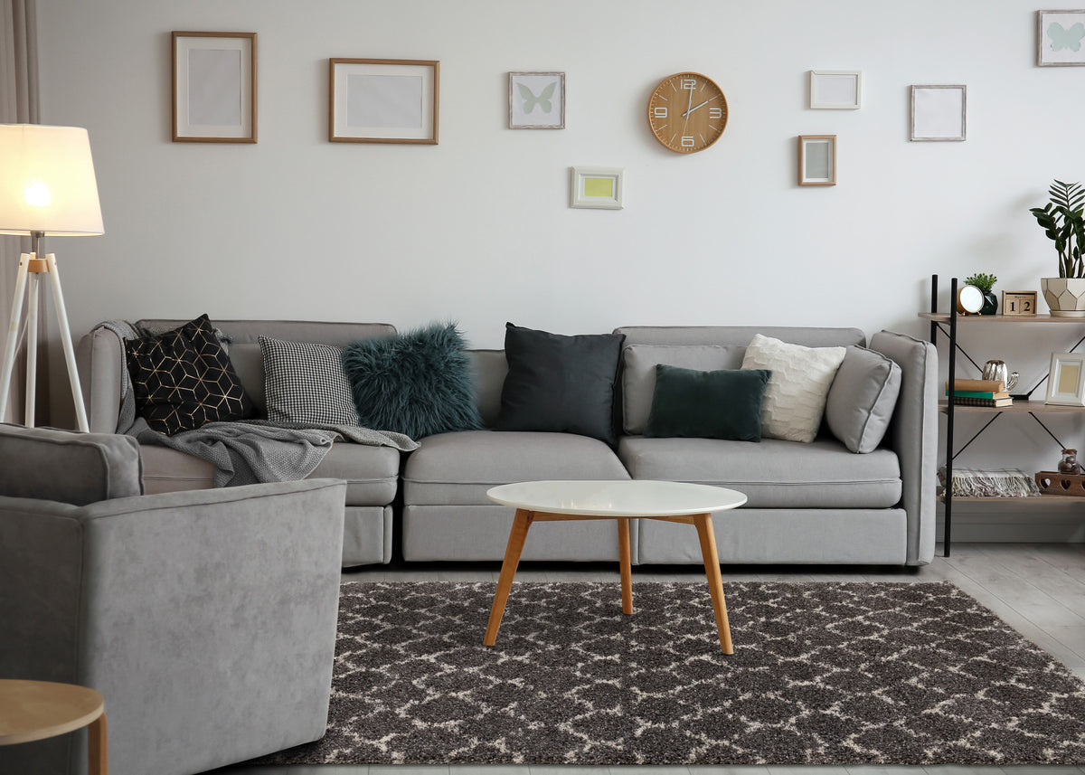 Transitional Elegant Grey Area Rug