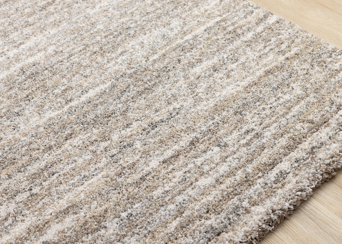 Contemporary Distressed Grey Area Rug