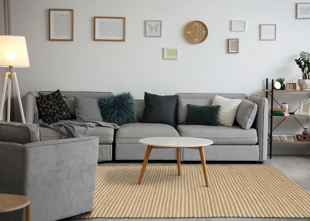 Contemporary Tonal/Solid Beige Area Rug