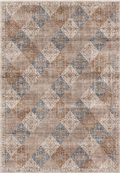 Aruba Traditional Distressed Brown Rug