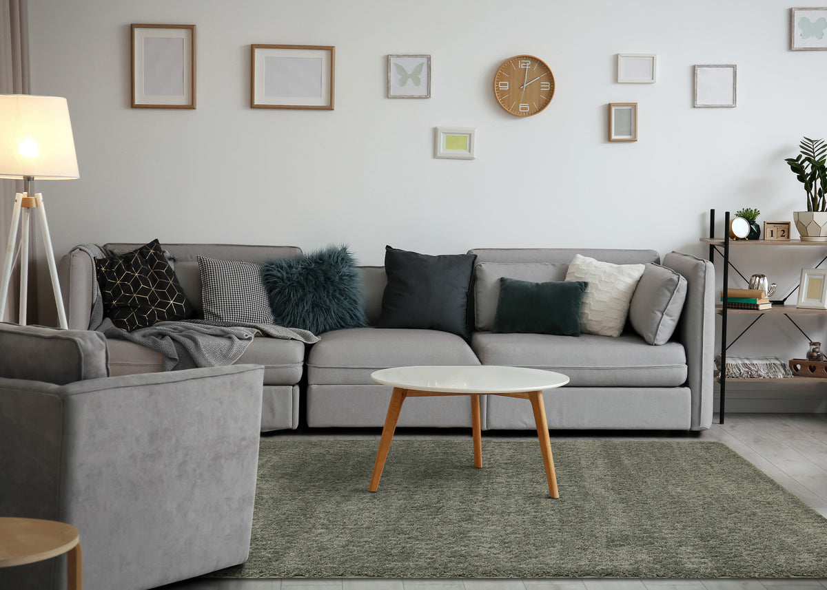 Modern Tonal Solid Green Area Rug