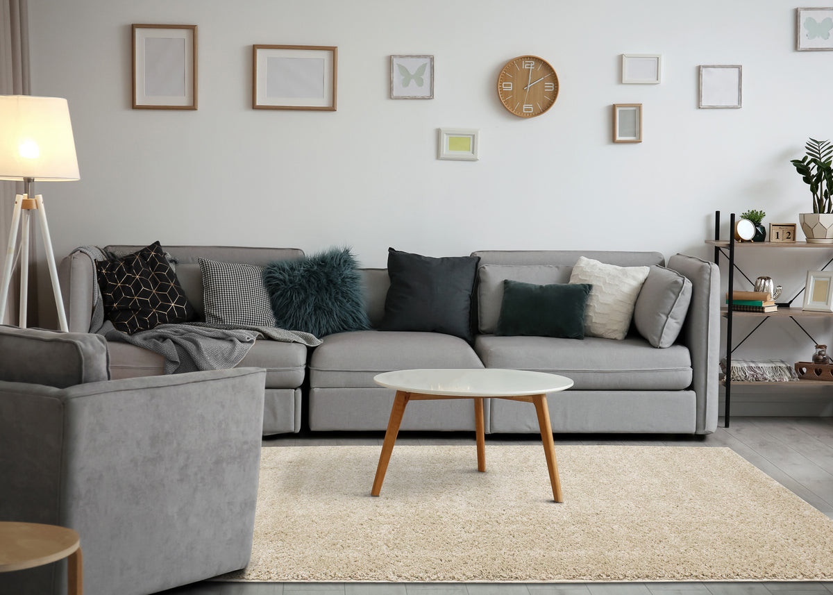 Modern Tonal Solid Beige Area Rug
