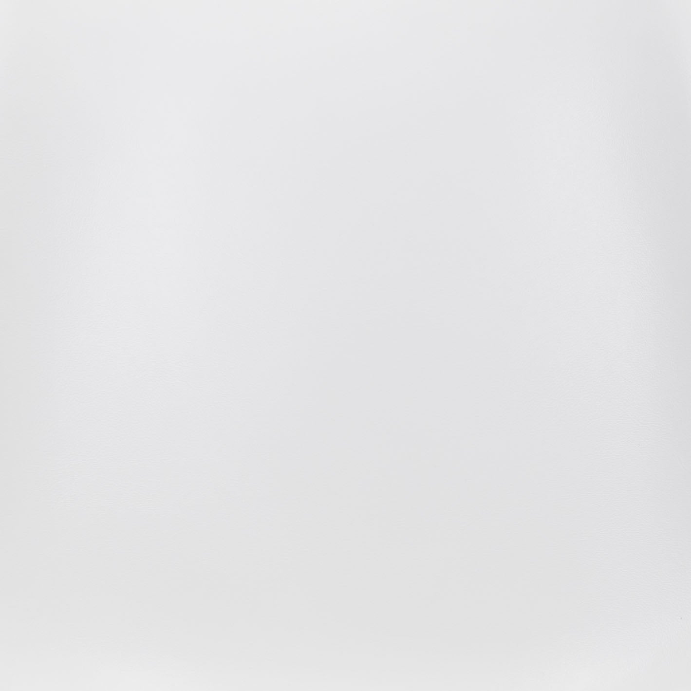 Dining Chair (Set of 2) White & Silver - Modern & Ergonomic Seating for Home & Office