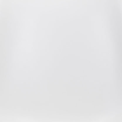 Dining Chair (Set of 2) White & Silver - Modern & Ergonomic Seating for Home & Office