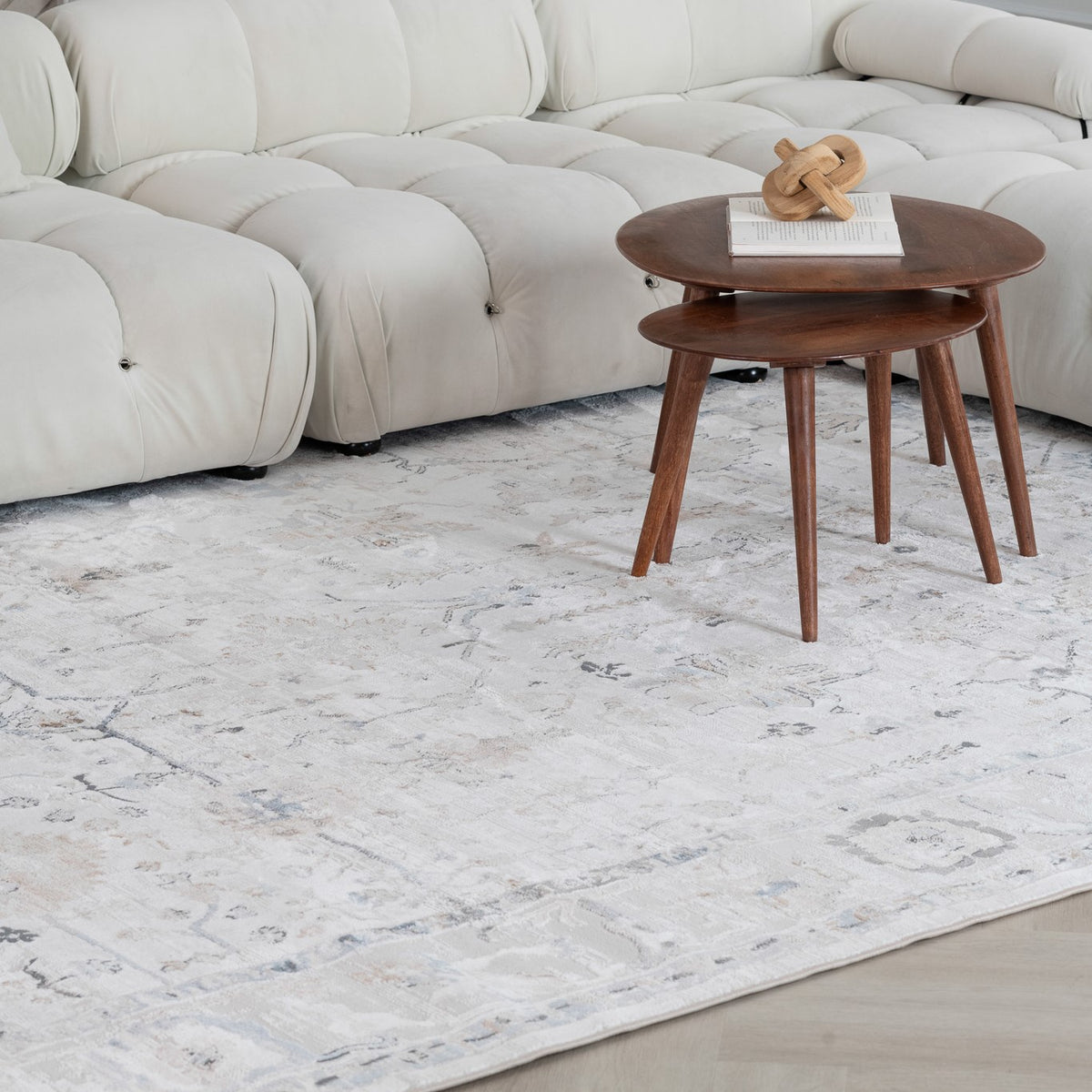 Wiam Distressed Medallion Traditional Beige and Ivory Indoor Rug