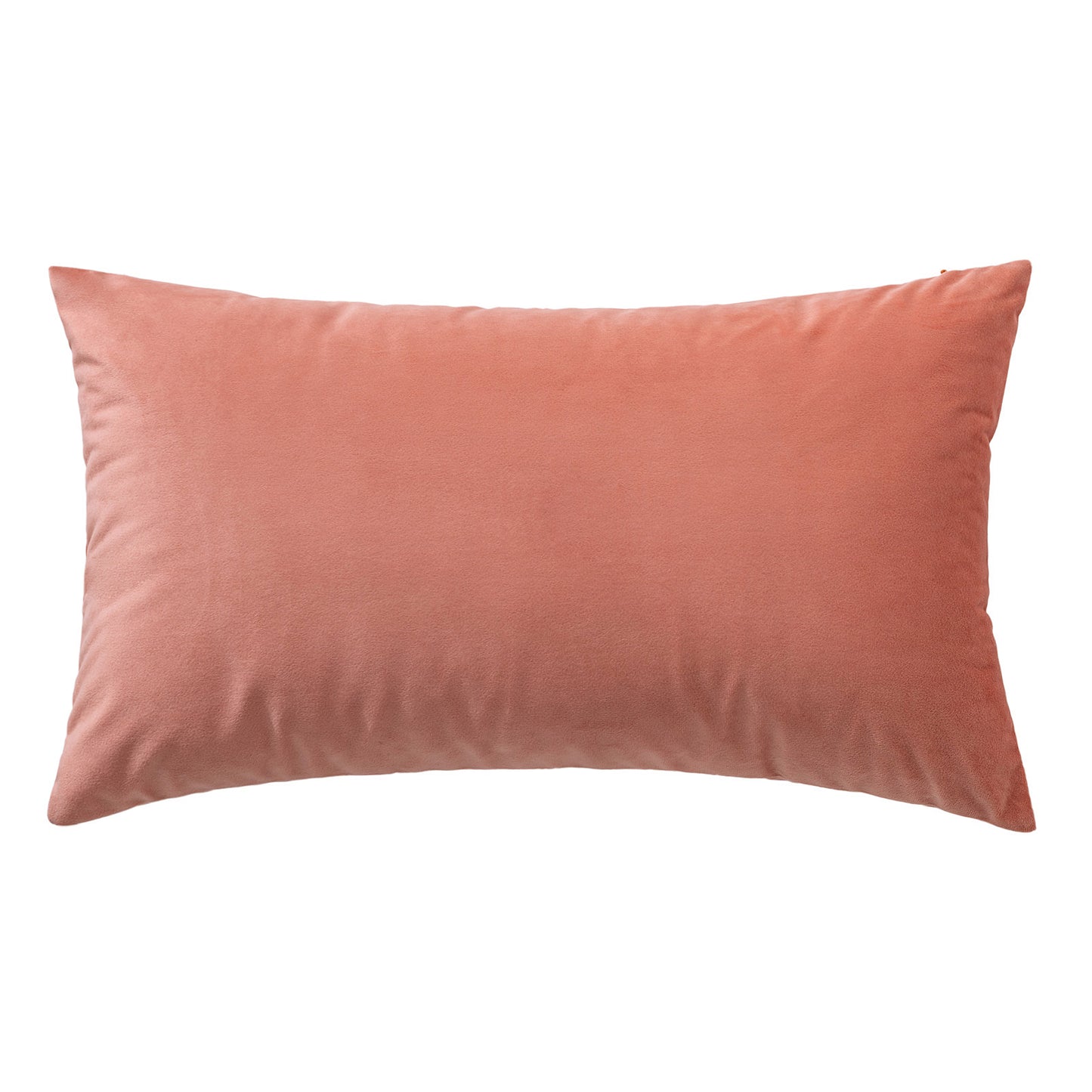 Soft Velvet Corail Pillow with Insert & Cover