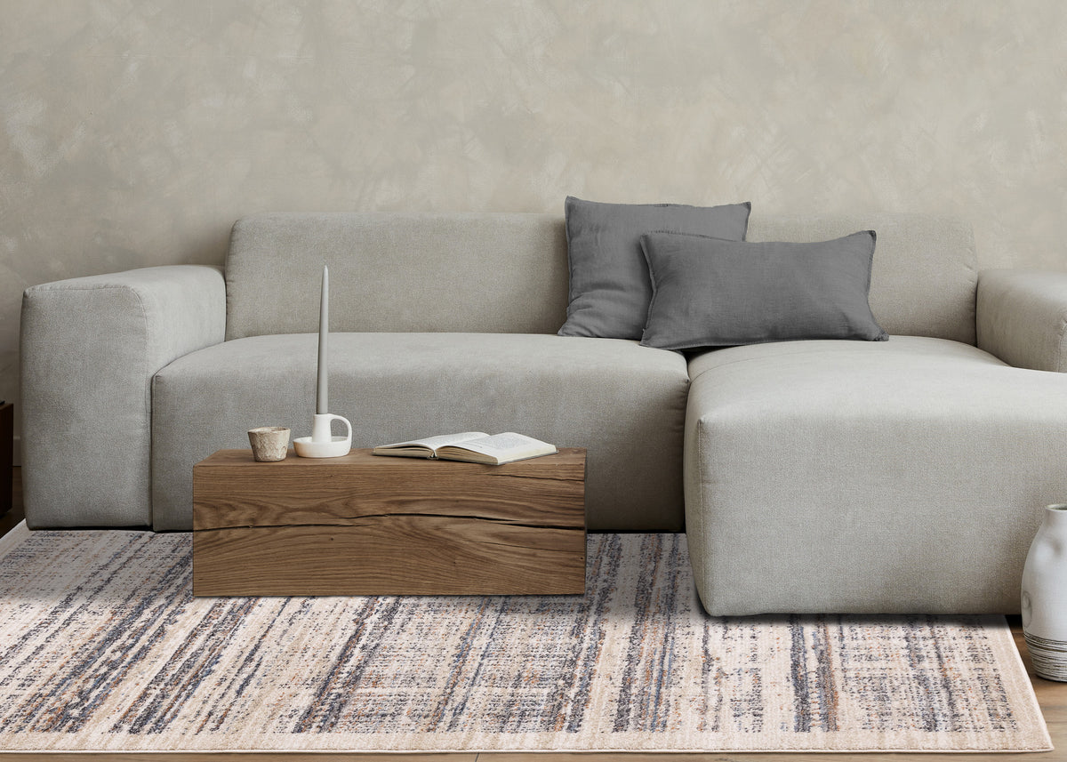 Contemporary Border Distressed Beige Area Rug