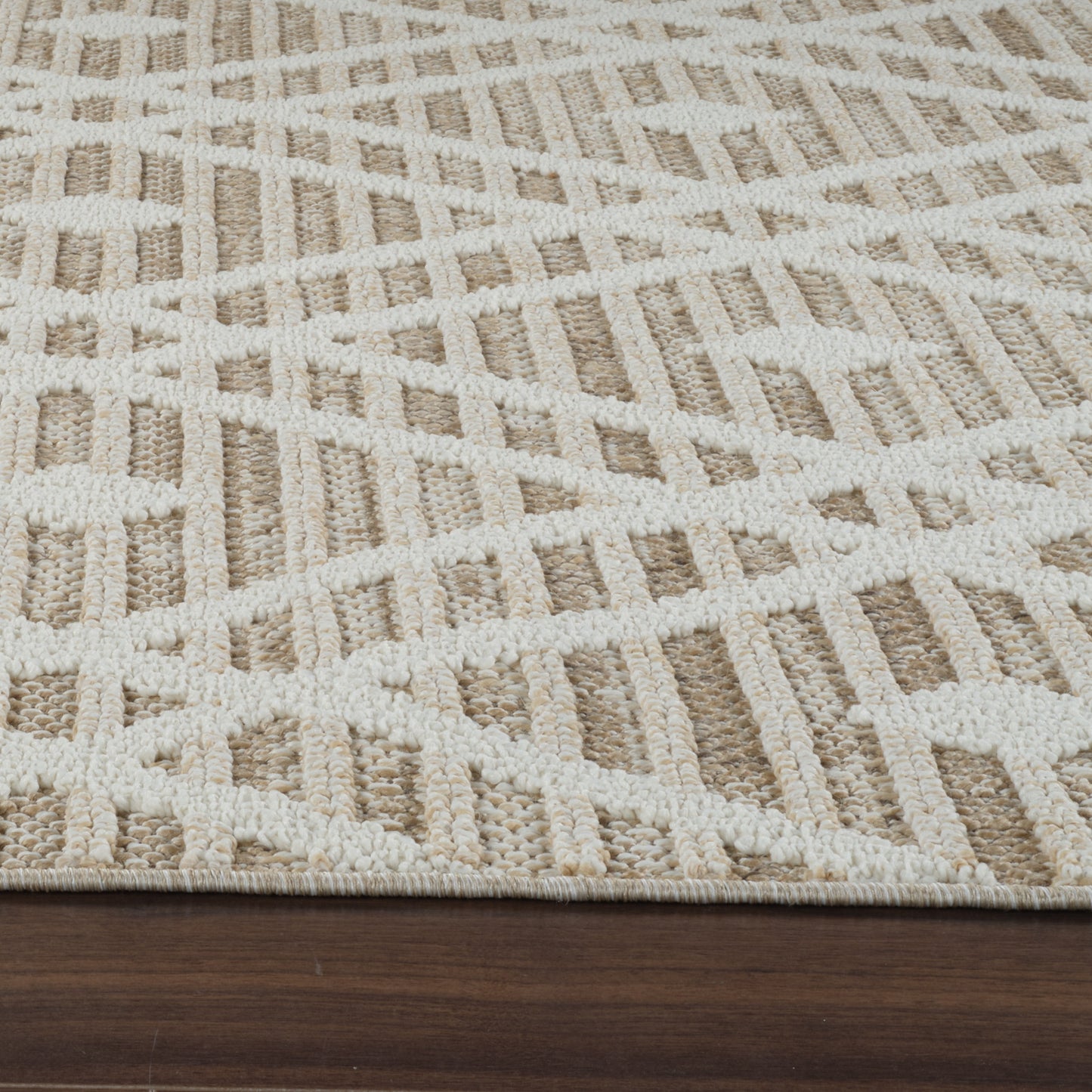 Sela Trellis Transitional Brown and Cream Indoor Rug-16