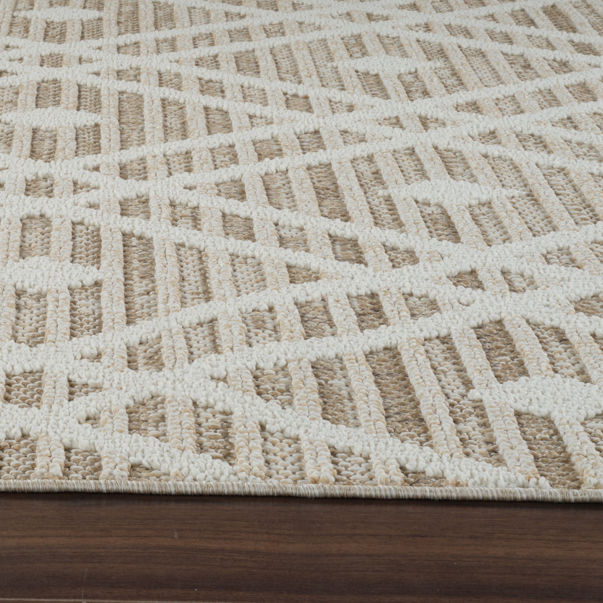 Sela Trellis Transitional Brown and Cream Indoor Rug-16