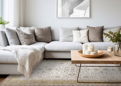 Traditional Border Elegant Cream Area Rug