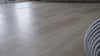 Karsin Oriental Traditional Grey and Beige Indoor Rug