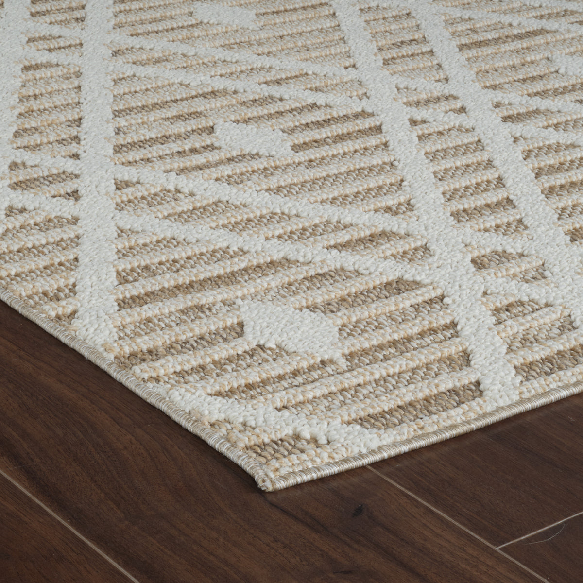 Sela Trellis Transitional Brown and Cream Indoor Rug