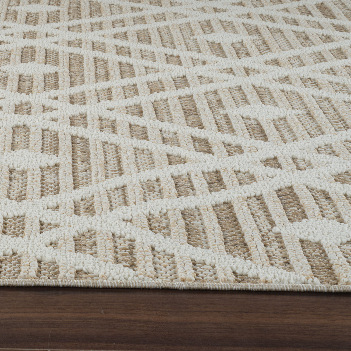 Sela Trellis Transitional Brown and Cream Indoor Rug