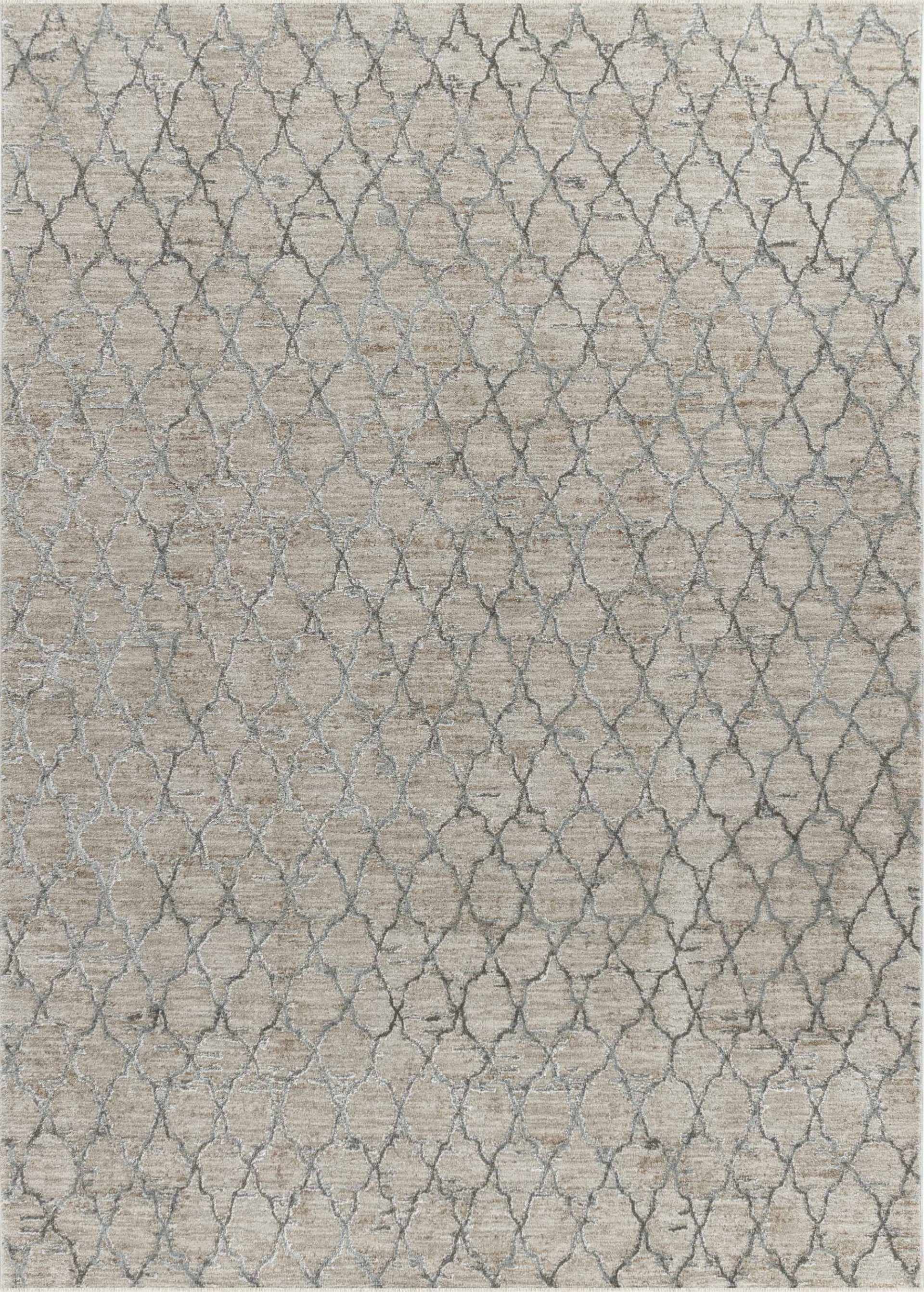 Modern Moroccan Boho Indoor Area Rug