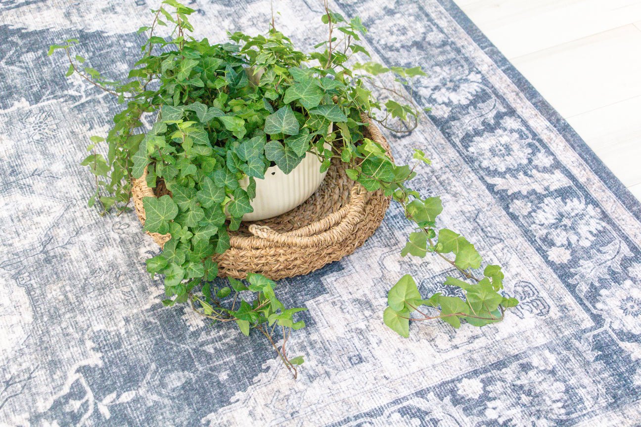 Aruba Traditional Vintage Indoor Area Rug