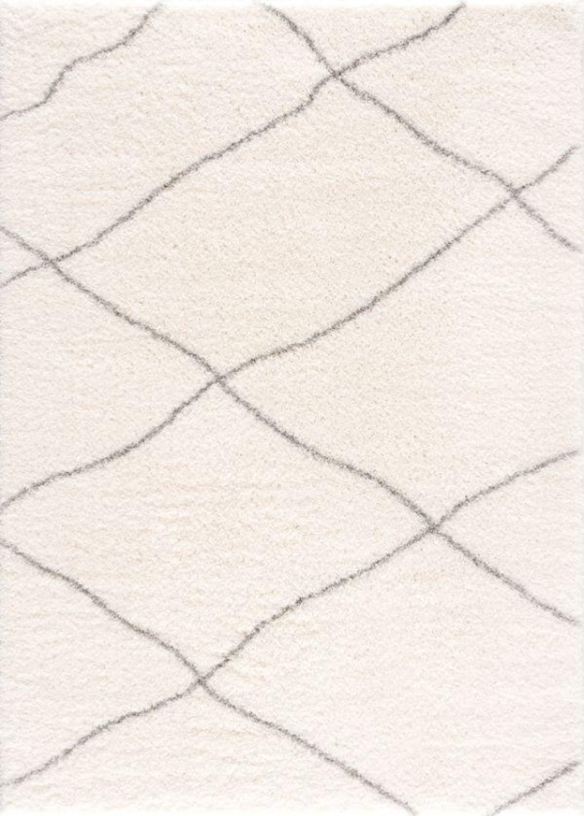 Contemporary Boho Shag Indoor Area Rug