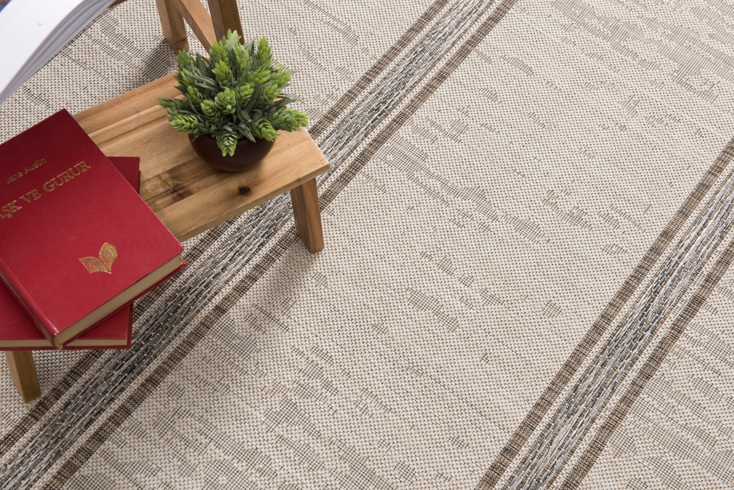 Vista Coastal Modern Beige Rug