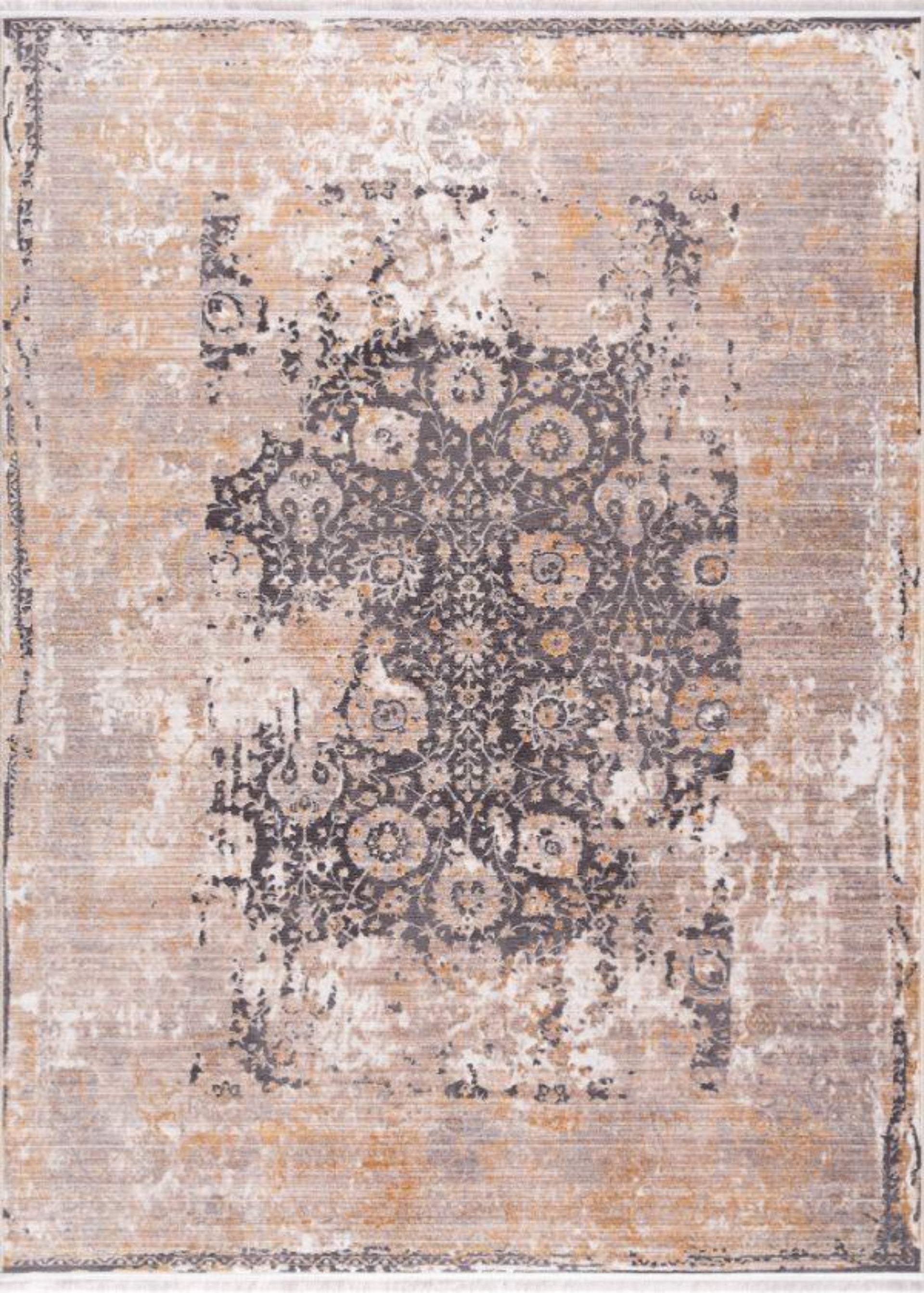 Transitional Vintage Classic Indoor Area Rug